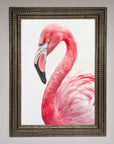 Pink Flamingo Stare Framed Print