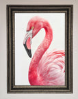 Pink Flamingo Stare Framed Print
