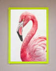 Pink Flamingo Stare Framed Print