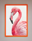 Pink Flamingo Stare Framed Print