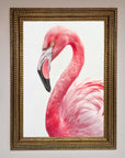 Pink Flamingo Stare Framed Print