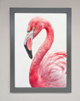Pink Flamingo Stare Framed Print