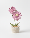 Dawn's Eye Daisies