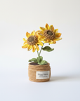 Sun-Chaser Sunflower