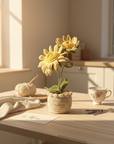 Dawn's Eye Daisies