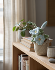 Morning Glories Table Charm