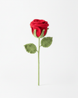 Enchanting Single Rose