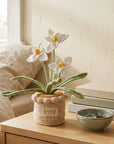 Daffodil