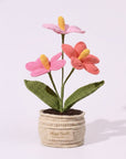 The Flamingo Heart Anthurium