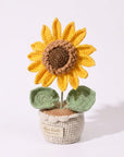 Large Sunflower