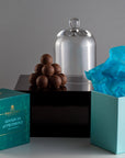 Premium Prestat Piedmont Gianduja Truffle Cube and Medium Cloche Gift Set, Luxury Milk Chocolate Hazelnut Truffles by Novenary at brixbailey.com