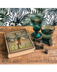 Bee Glasses Set of 4 Colors, 220ml