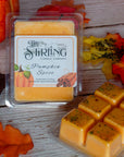 Pumpkin Spice - Wax Melt Clamshell