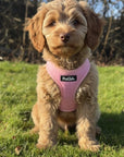 Puppy step-in Harness - Pink