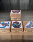 Wooden Animal and Nature Puzzles
