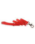 Red Leather Dog Lead