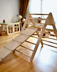 Reversible Ladder Climbing / Sliding Ramp-4