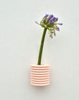 Pink Wall Vase for Floral Display
