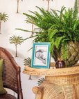 Riva Azzurro Photo Frame 6x4"