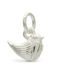 Robin Silver Charm