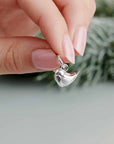 Robin Silver Charm