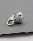 Robin Silver Charm