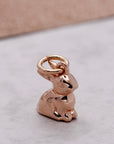 Bunny Rabbit Silver Charm