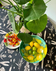 Round Cotton Tablecloth in Seeds Carbon Print