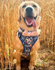 Rugged Rover™ Harness - Summer Meadow