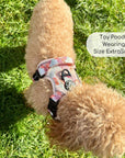 Rugged Rover™ Harness - Autumn Breeze