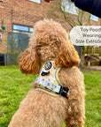 Rugged Rover™ Harness - Bee-utiful Summer