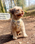 Rugged Rover™ Harness - Bee-utiful Summer