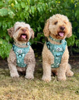 Rugged Rover™ Harness - Evergreen Trails