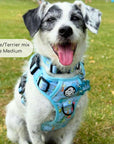 Rugged Rover™ Harness - Jurassic Party