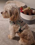 Rugged Rover™ Harness - Woodland Friends