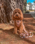 Rugged Rover™ Harness - Autumn Breeze