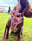 Rugged Rover™ Harness - Autumn Breeze