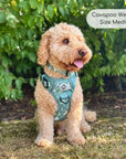 Rugged Rover™ Harness - Evergreen Trails