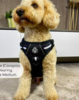 Rugged Rover™ Harness - Midnight Black