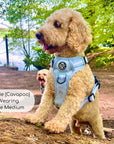 Rugged Rover™ Harness - Pastel Blue