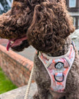 Rugged Rover™ Harness - Autumn Breeze