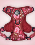 Rugged Rover™ Harness - Burgundy Bloom