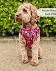 Rugged Rover™ Harness - Burgundy Bloom