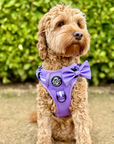 Rugged Rover™ Harness - Lilac Blush
