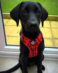 Rugged Rover™ Harness - Red Tartan