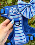 Rugged Rover™ Harness - Sea Breeze Stripes