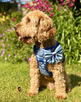 Rugged Rover™ Harness - Sea Breeze Stripes
