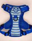 Rugged Rover™ Harness - Sea Breeze Stripes