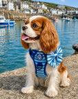 Rugged Rover™ Harness - Sea Breeze Stripes