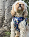 Rugged Rover™ Harness - Summer Meadow